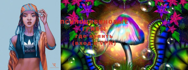 мяу мяу мука Алзамай