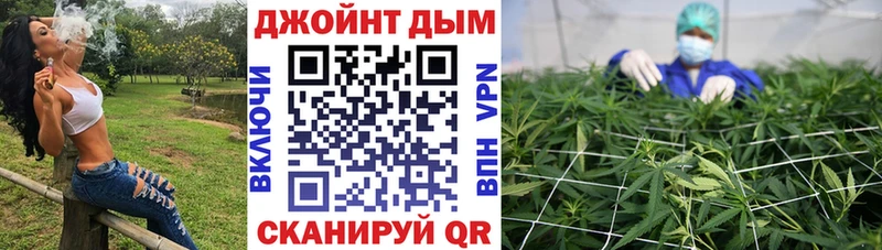наркота  omg ссылка  Шишки марихуана SATIVA & INDICA  Елабуга 